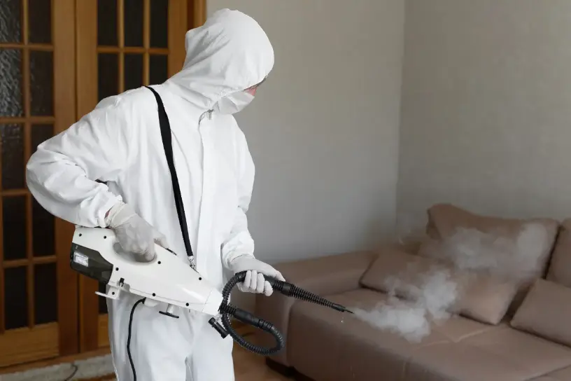 Experienced Steam Cleaning Cutchogue NY