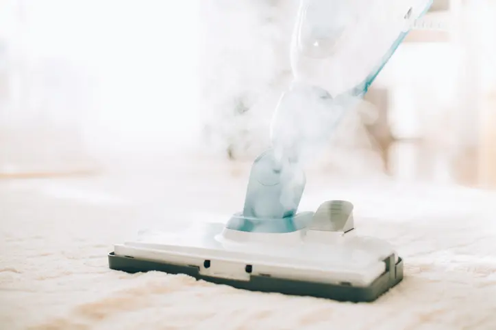 How Steam Cleaning Removes Allergens And Improves Air Quality Cutchogue NY
